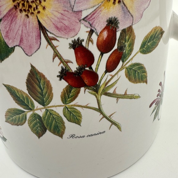 Botanical Pitcher Made In Stoke On Trent England 9x8.5” - Picture 8 of 11